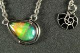 Stunning Ammolite Teardrop Pendant - Sterling Silver #271763-1